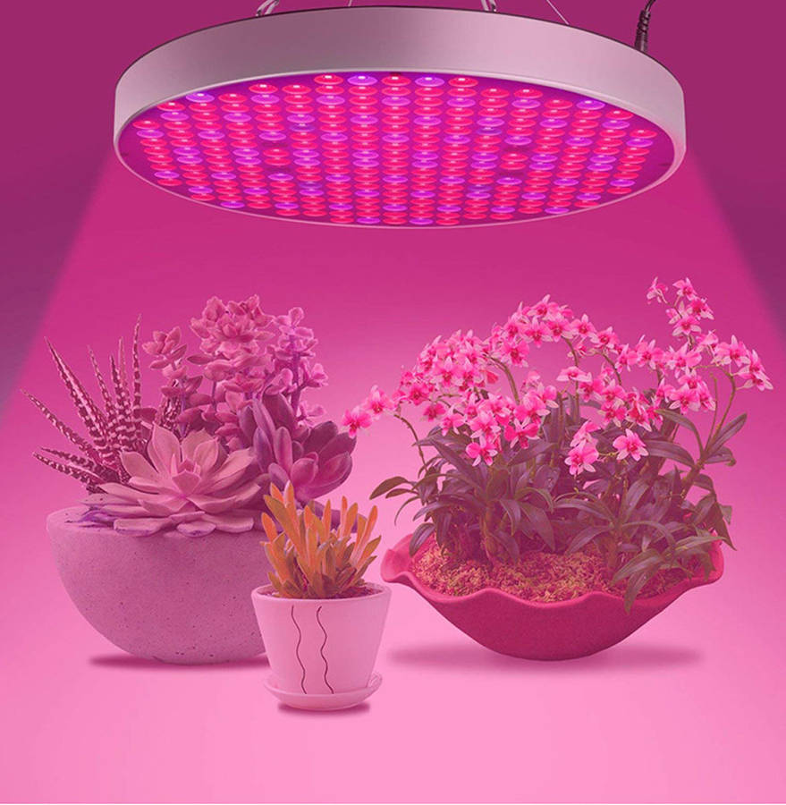 50W UFO Led Grow Light For Plants Indoor Flowering