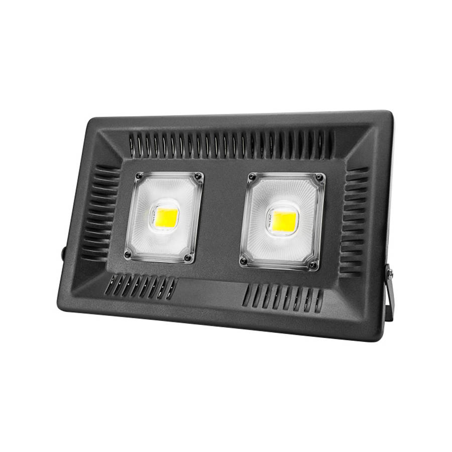 100W Full Spectrum COB LED Grow Light for Indoor Plants