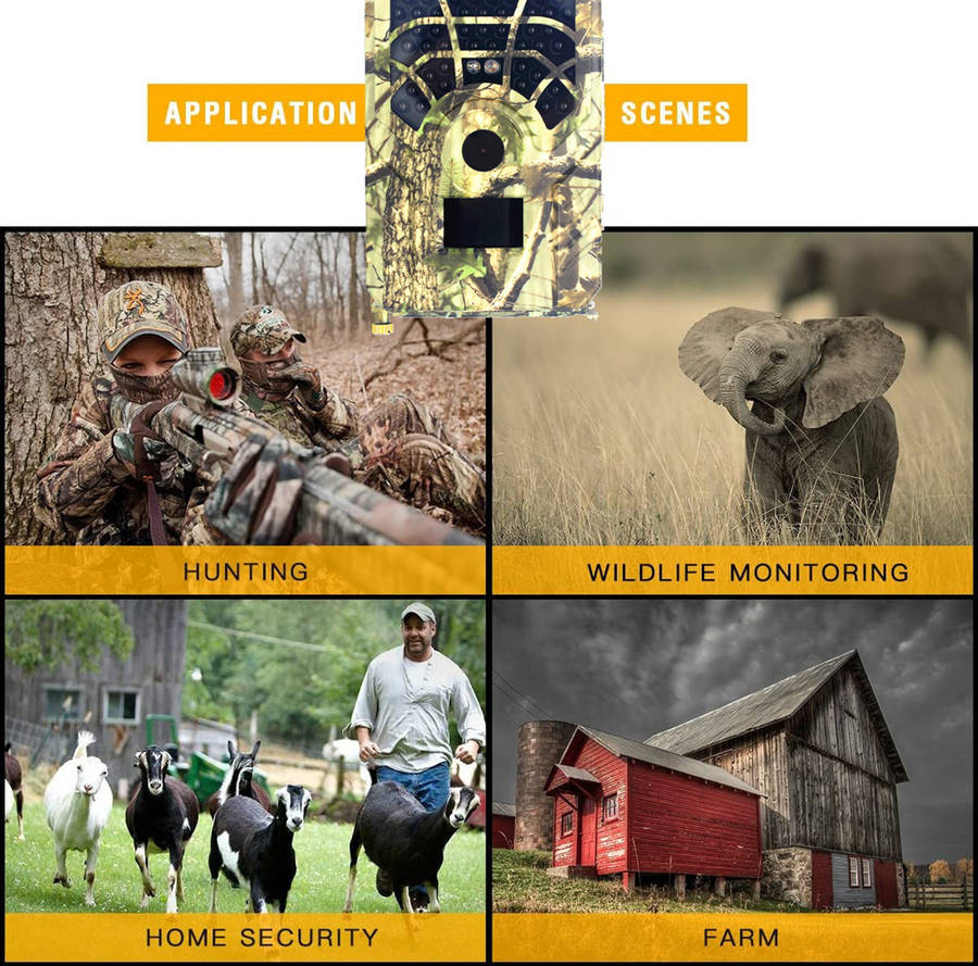 Wildlife Trail Night Vision Hunting Camera for Hunting Scouting