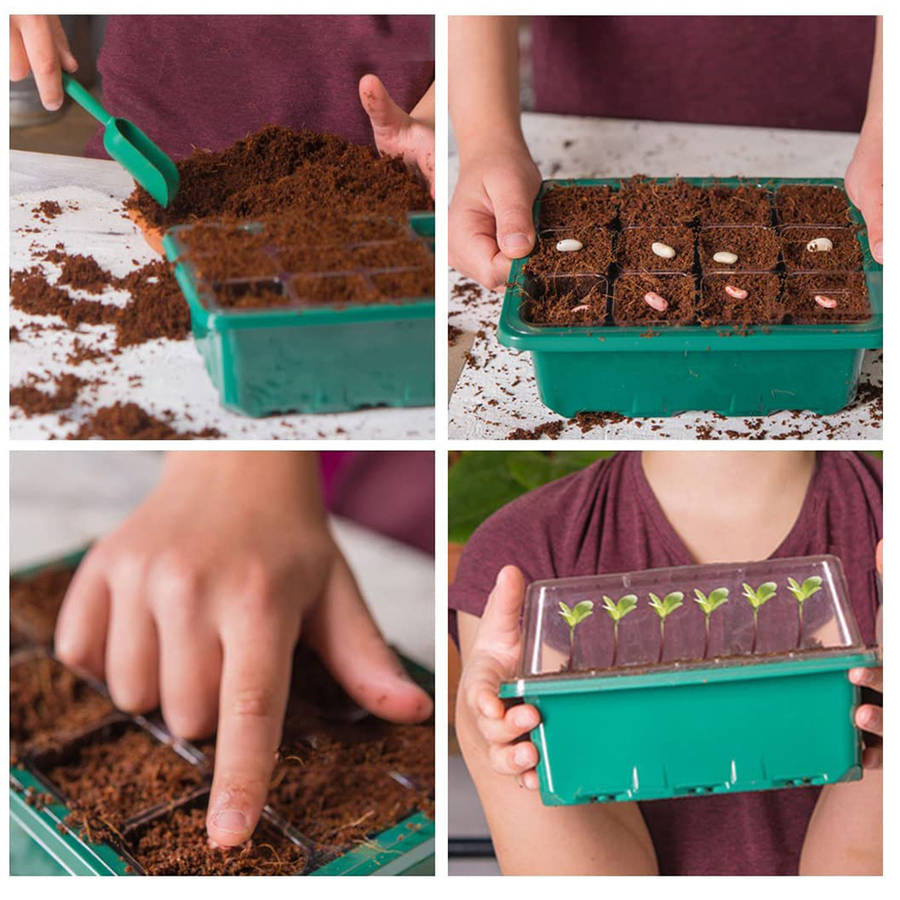 Seed Starter Trays with Grow Light Seed Starter Kit Plant Starter Kit