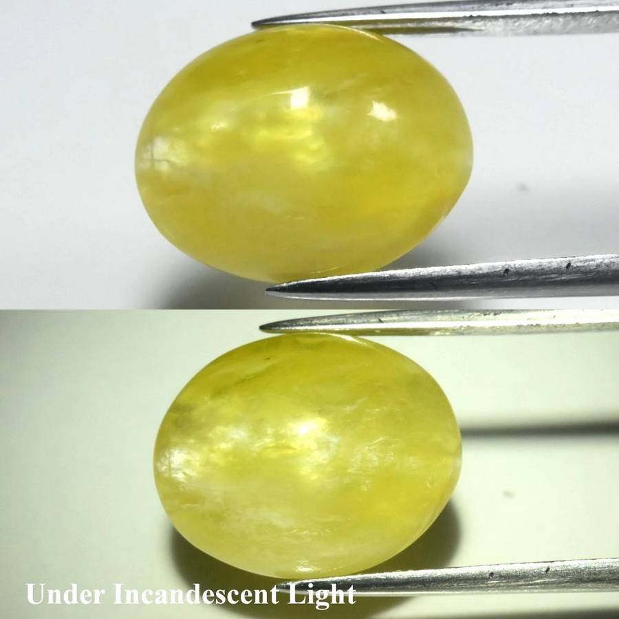 5.55ct Yellow Cat's Eye Opal Oval 12.8x10.3mm Cabochon  - Africa Gem Natural
