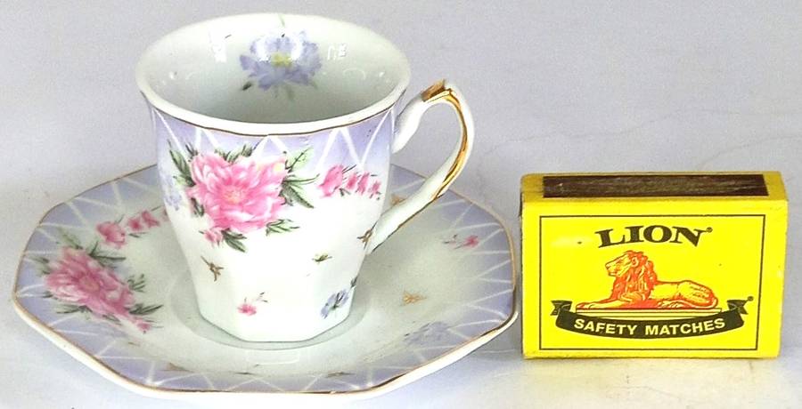 Royal Bavaria Demitasse Coffee Set (15 pcs)