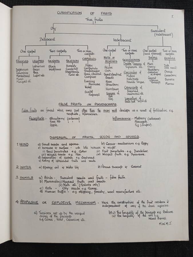 Biological Drawings with notes by Maud Jepson
