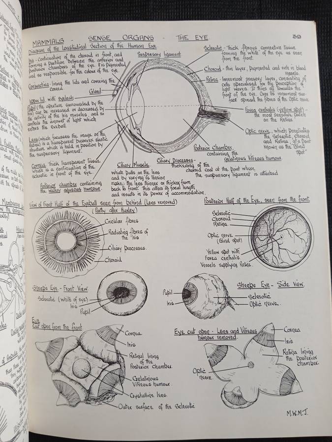 Biological Drawings with notes by Maud Jepson