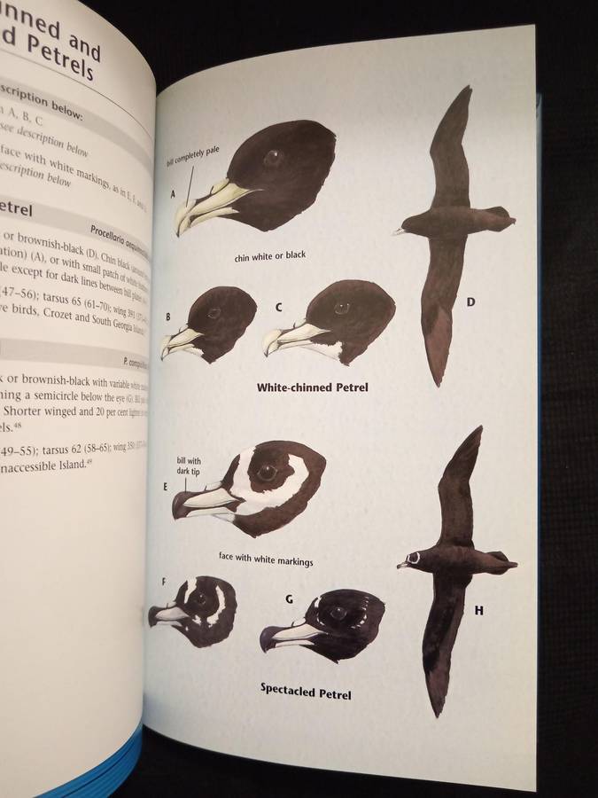 Identification of Seabirds of the Southern Ocean by Derek Onley & Sandy Battle