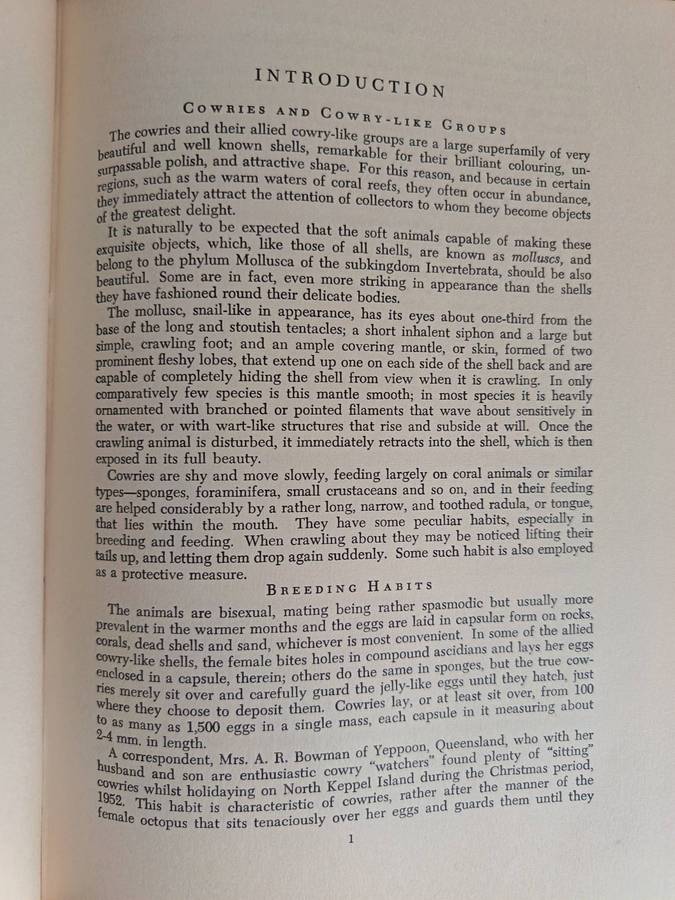 Cowry Shells of World Seas by Joyce Allan