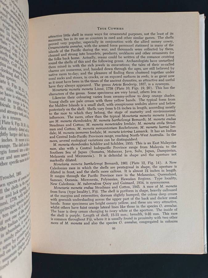 Cowry Shells of World Seas by Joyce Allan