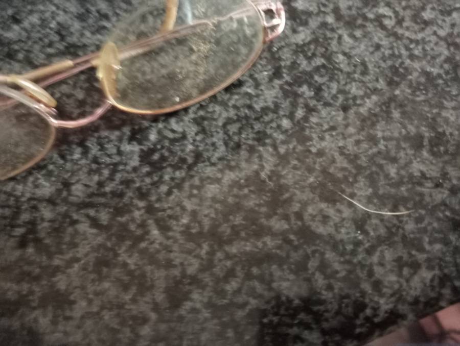 VINTAGE SPECTACLES  IN CASE