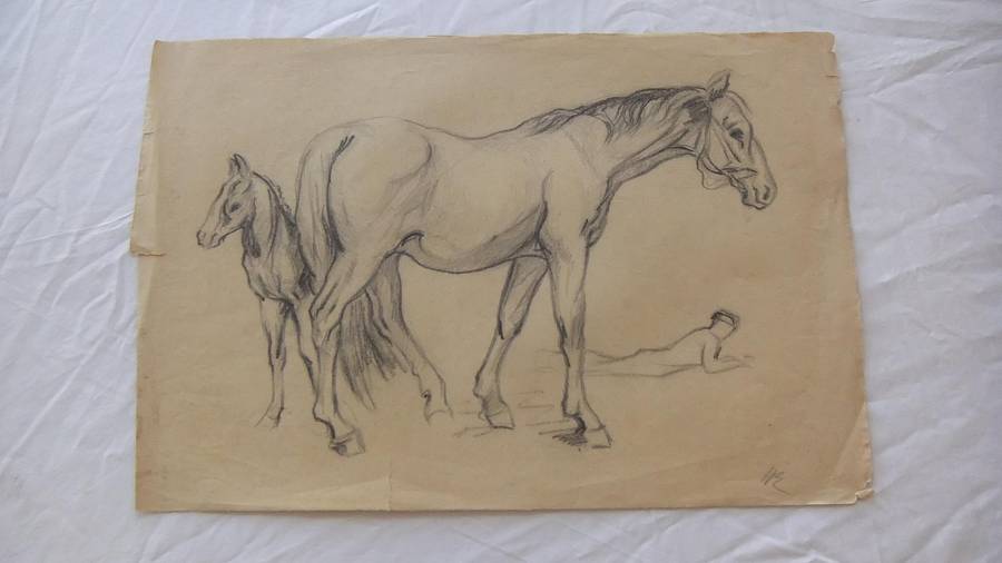 An original pencil sketch by international artist Hedwig Brecher Eibuschitz " horse study "