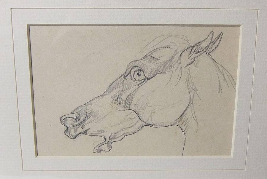 An original pencil sketch by international artist Hedwig Brecher Eibuschitz " horse study "