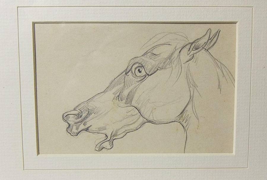 An original pencil sketch by international artist Hedwig Brecher Eibuschitz " horse study "