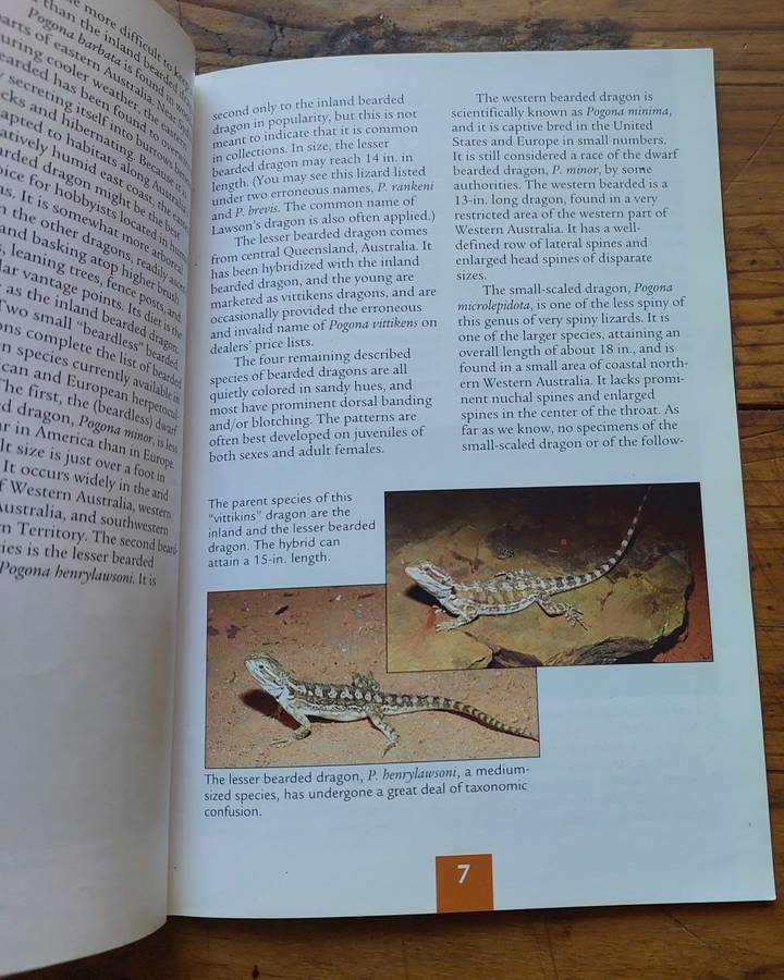 Barron's Reptile Keeper's guides Bearded dragon R.D Bartlett and Patricia Bartlett