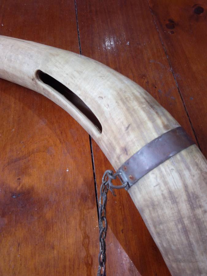 Vintage Chain Mounted Tusk / Horn