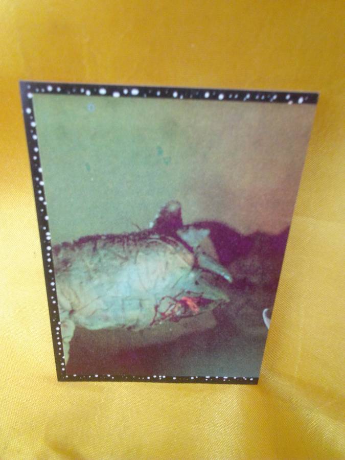 1996 Panini Star Wars #21 Sticker