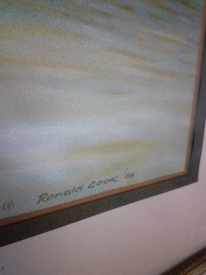 Stunning SA Artist Ronald Cook "Fish Eagle" Print Signed & Dated 89
