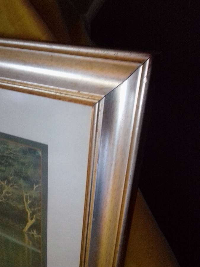 Stunning SA Artist Ronald Cook "Fish Eagle" Print Signed & Dated 89