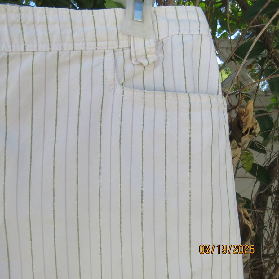 HANG TEN white cotton men's shorts with green-grey vertical stripes. Size 38.