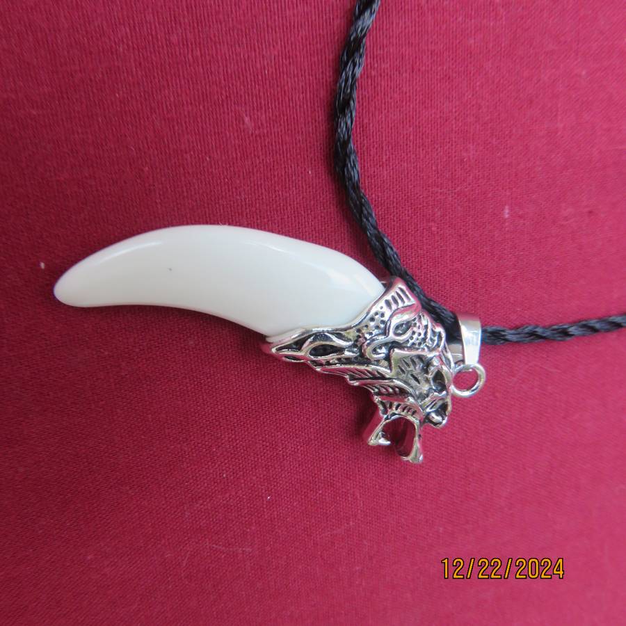 Faux tooth pendant in stainless steel with black cord