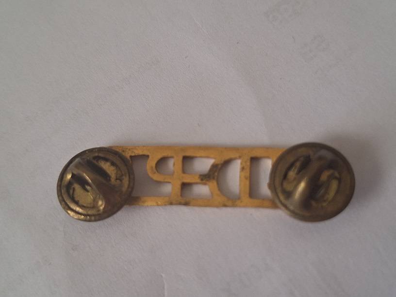 Prison service/gevenge diens title badge