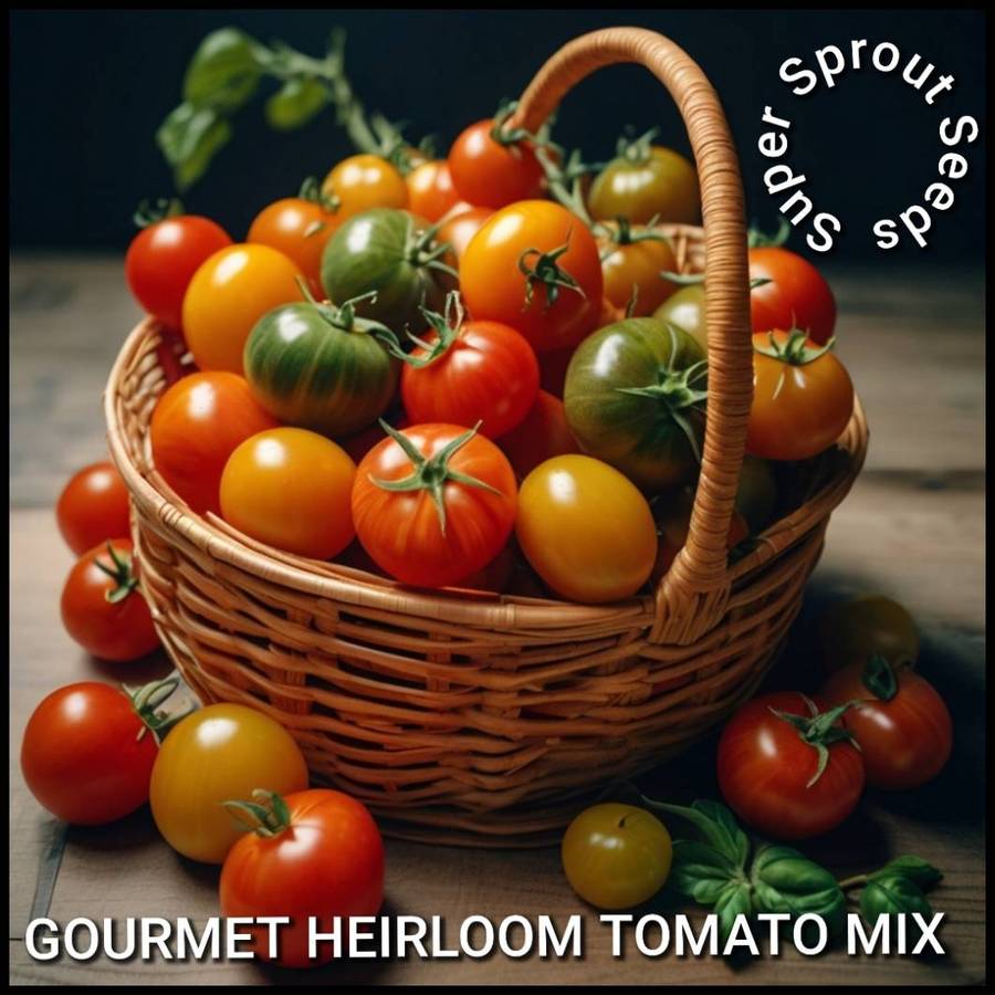 GOURMET HEIRLOOM TOMATO MIX x 25 organic seeds