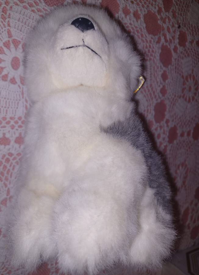 Stuffed Husky