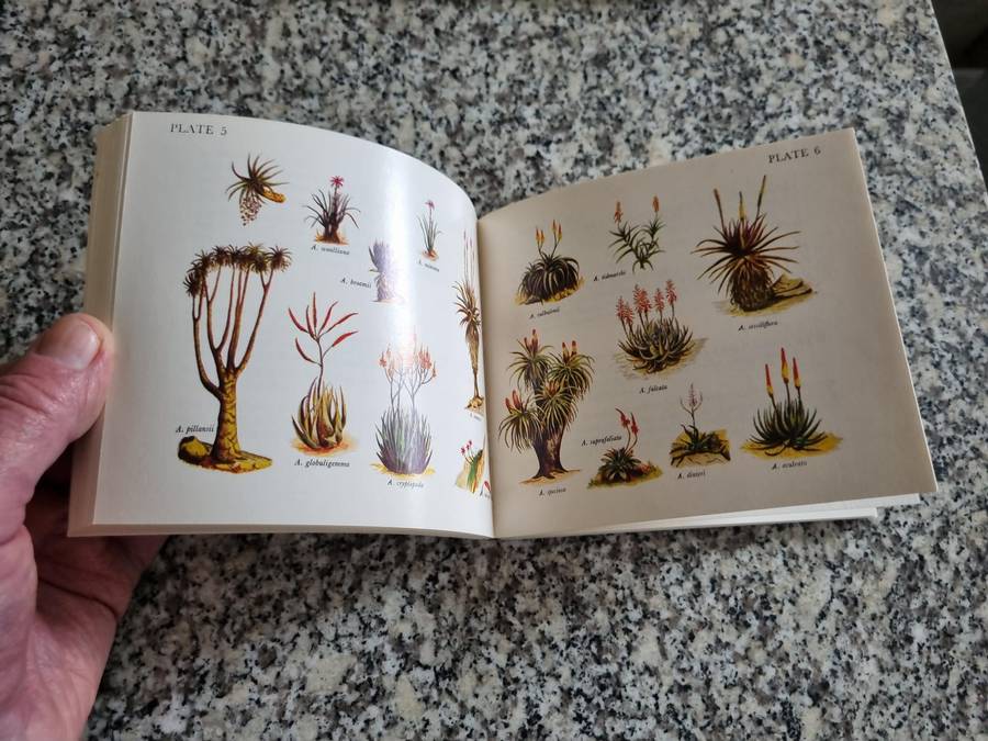 WHAT ALOE IS THAT ? ERIC JUDD ( a pocket size book )