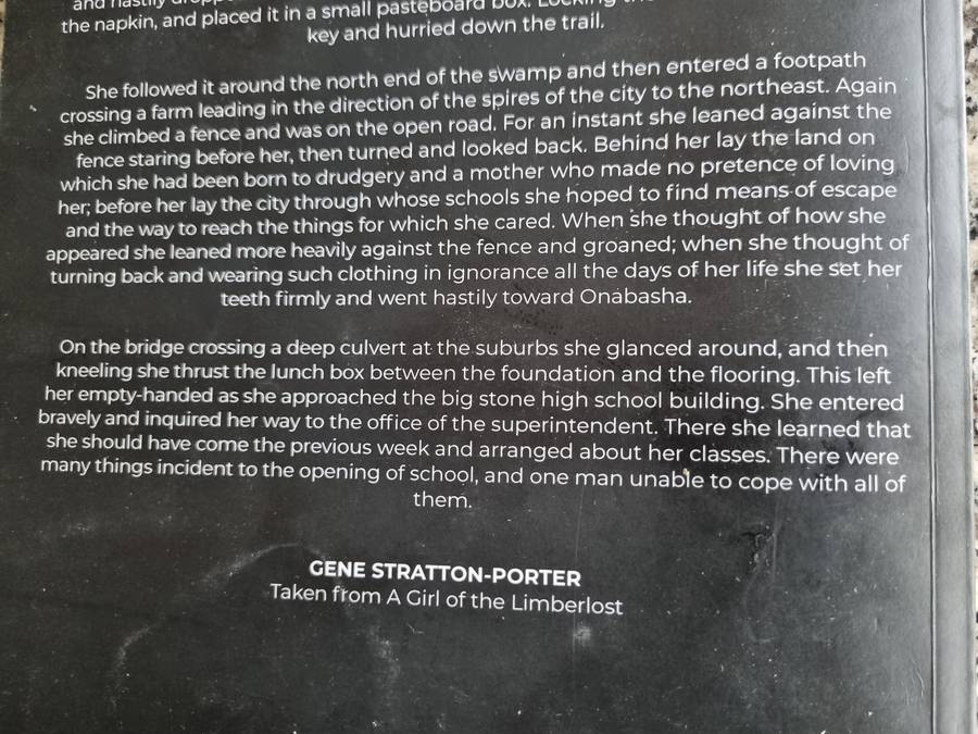 A GIRL OF THE LINDERLOST GENE STRATTON PORTER ( Stratton-Porter )