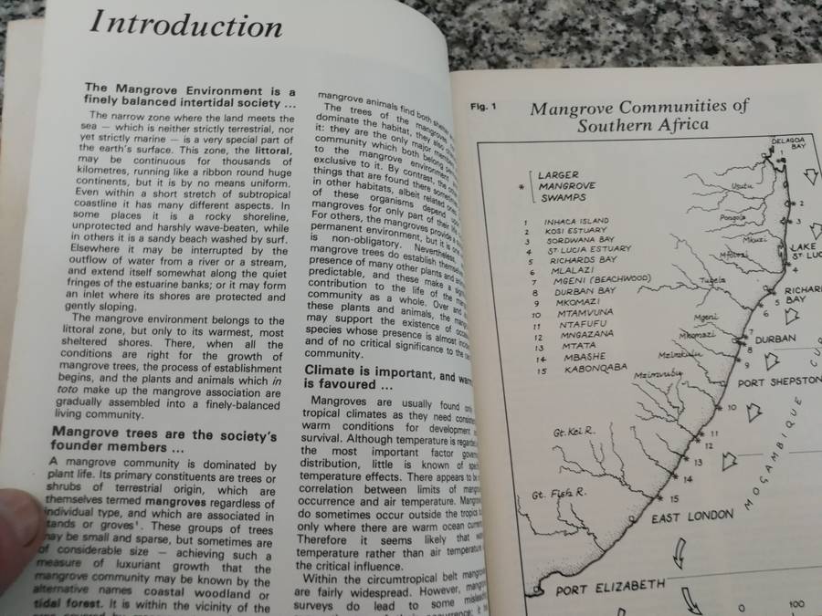 IN THE MANGROVES OF SOUTHERN AFRICA A Wildlife Handbook