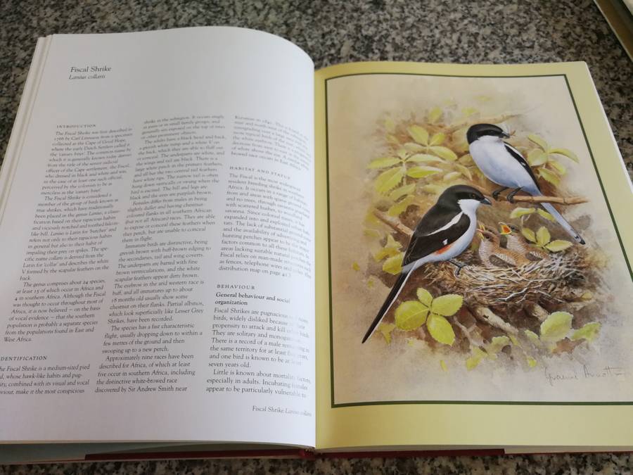 SHRIKES OF SOUTHERN AFRICA TONY HARRIS GRAEME ARNOTT in a protective slipcase birds birding