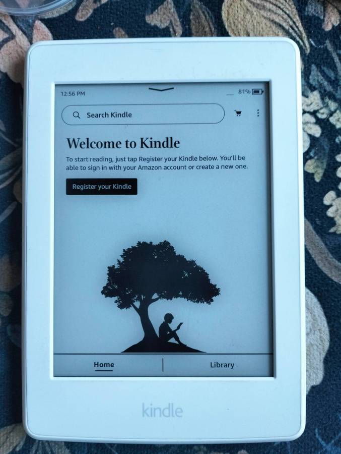 Amazon Kindle Paperwhite 7th Gen model G090  4GB
