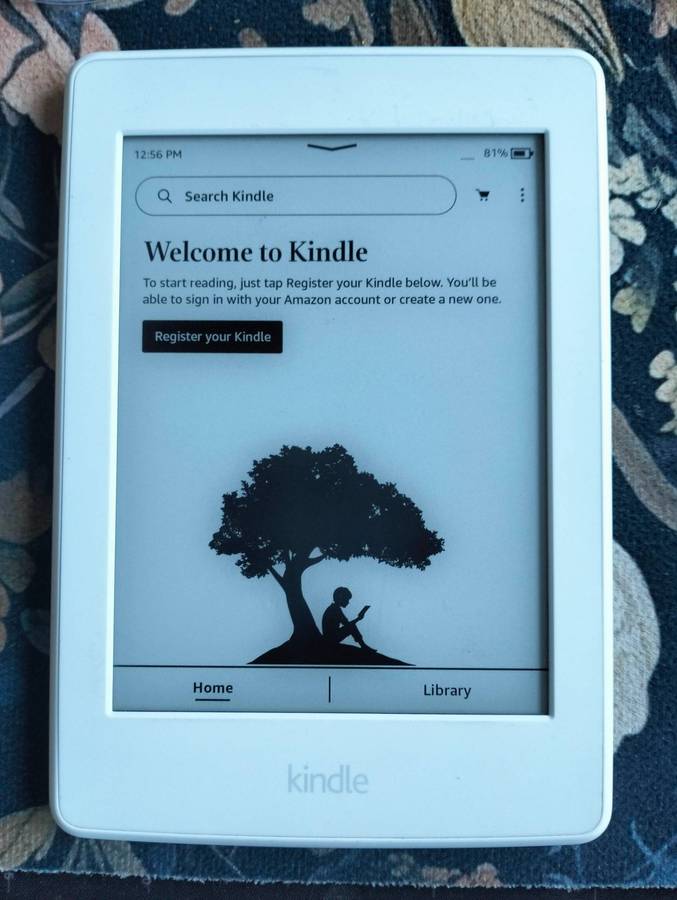 Amazon Kindle Paperwhite 7th Gen model G090  4GB