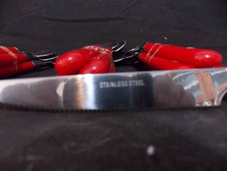 Set of Plastic and Stainless Steel Cutlery Set