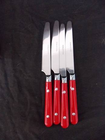 Set of Plastic and Stainless Steel Cutlery Set