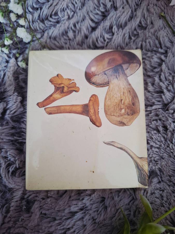 Hardcover: Little books for cooks: Mushrooms by Smallwood & Stewart (Editor).
