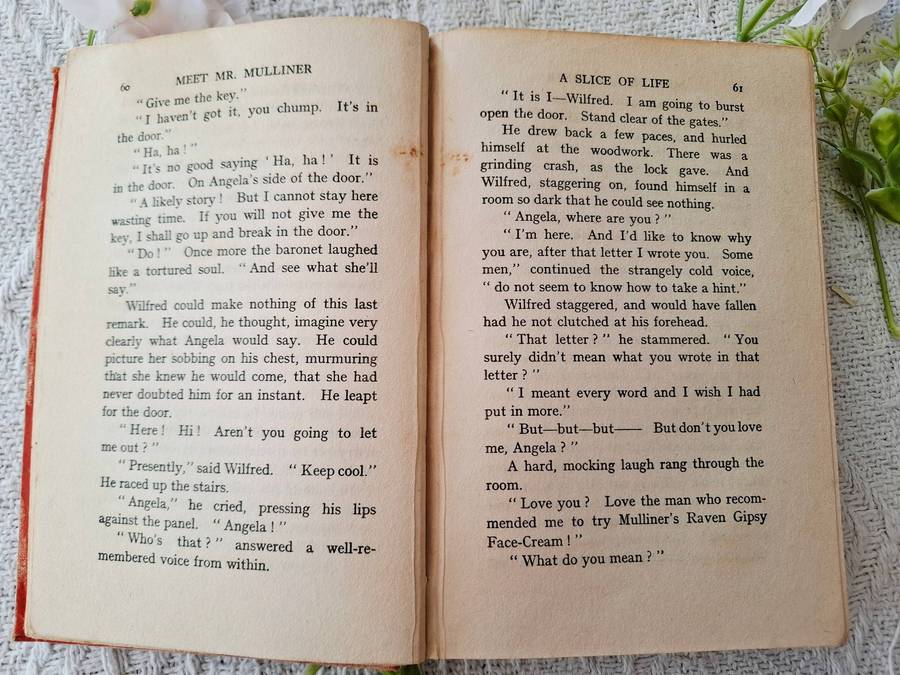 Meet Mr Mulliner by P.G. Wodehouse