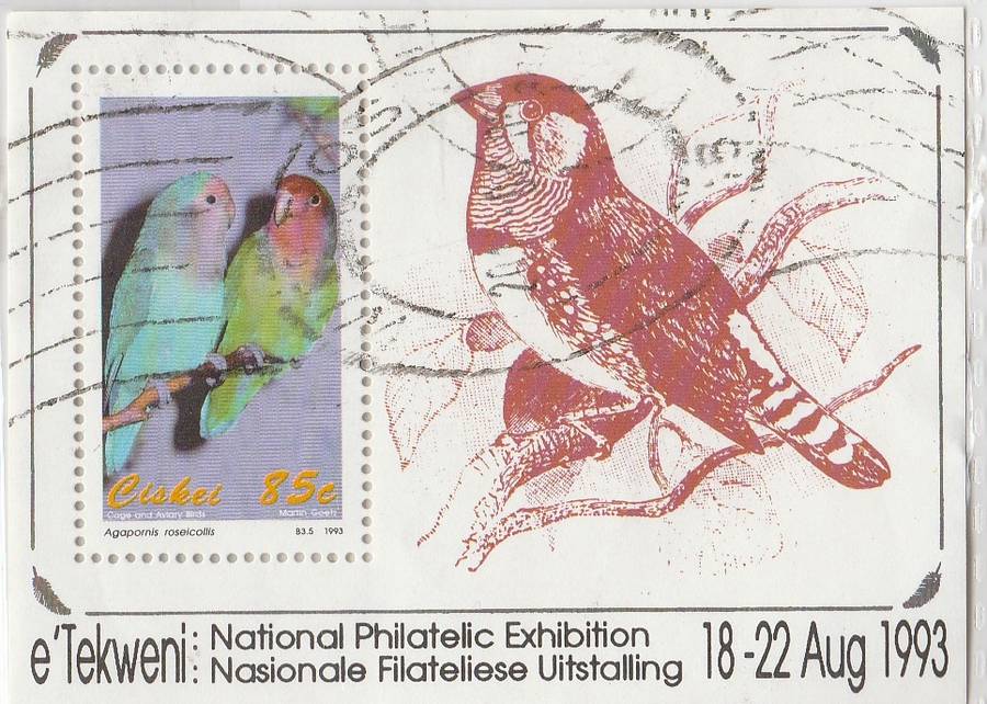 REPUBLIC OF SOUTH AFRICA      1993       18-22 AUG.