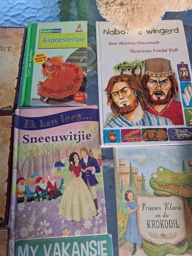 10 x Afrikaans Children books