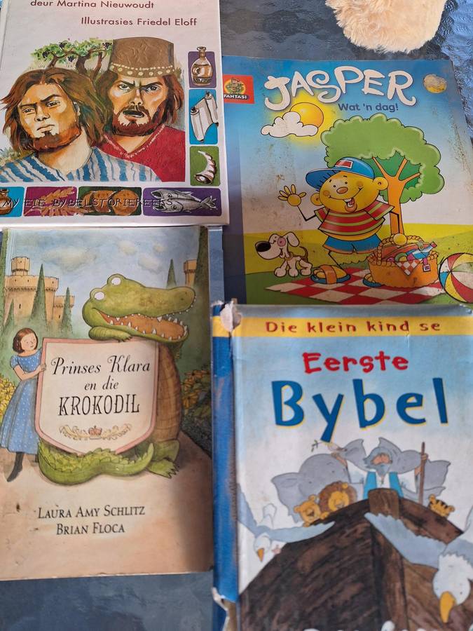 10 x Afrikaans Children books