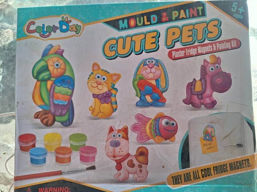 Mold and paint Craft set.