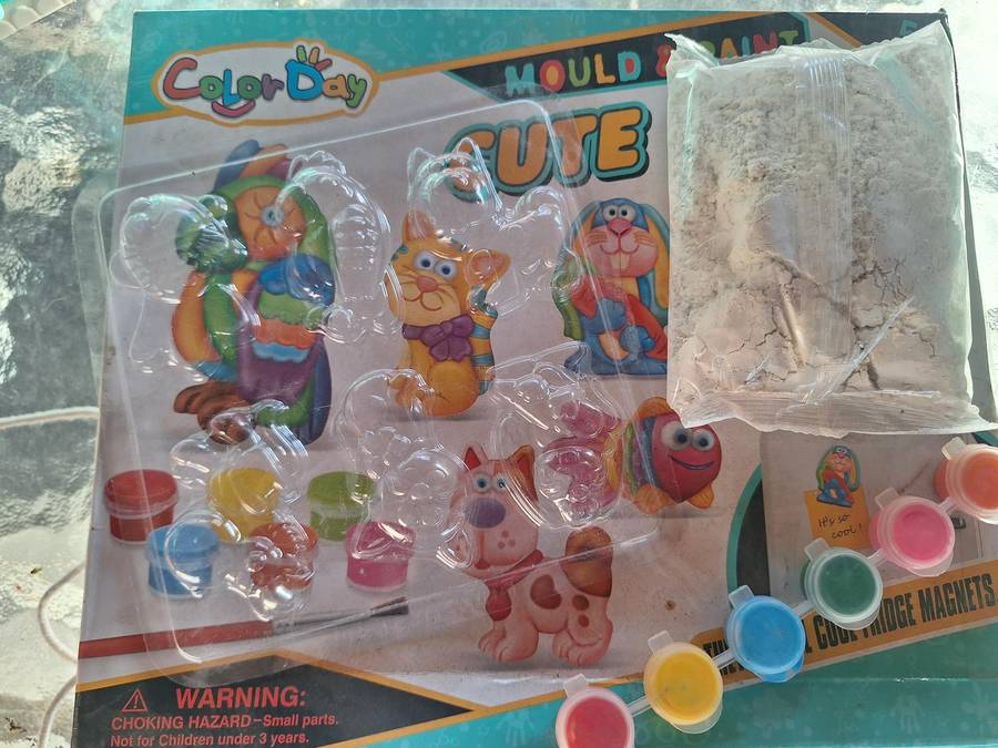 Mold and paint Craft set.