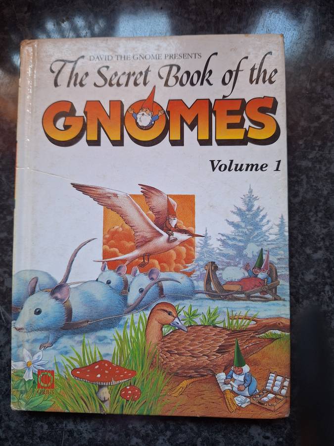 The Secret Book of the Gnomes Childrens book