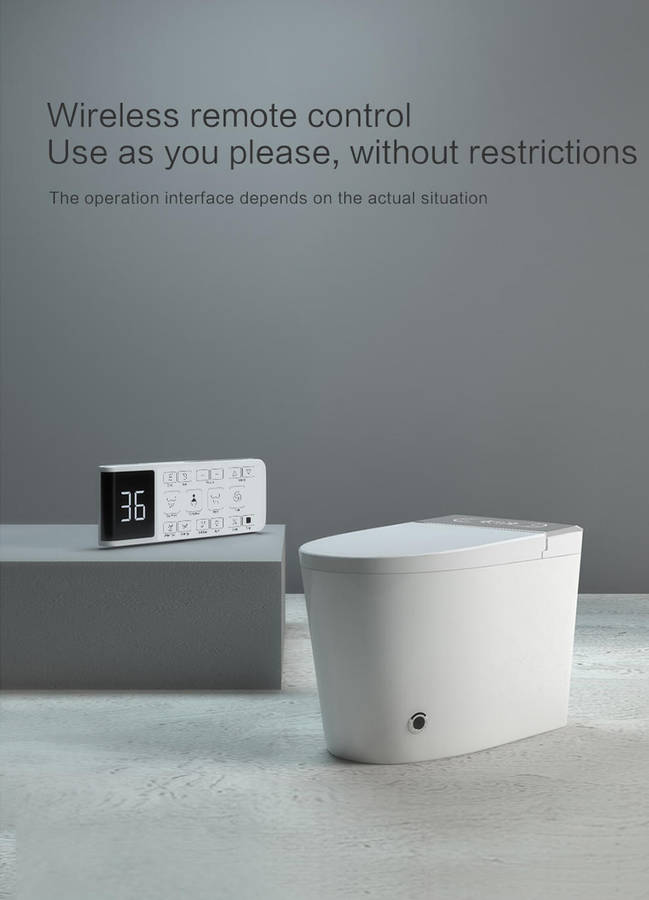 Intelligent Toilet Tankless