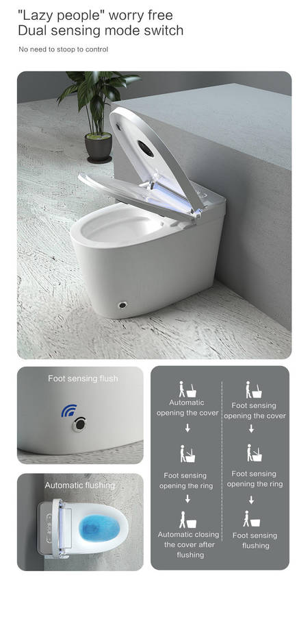 Intelligent Toilet Tankless