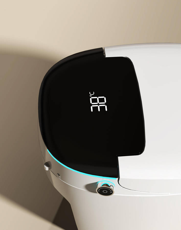 Intelligent Toilet Tankless