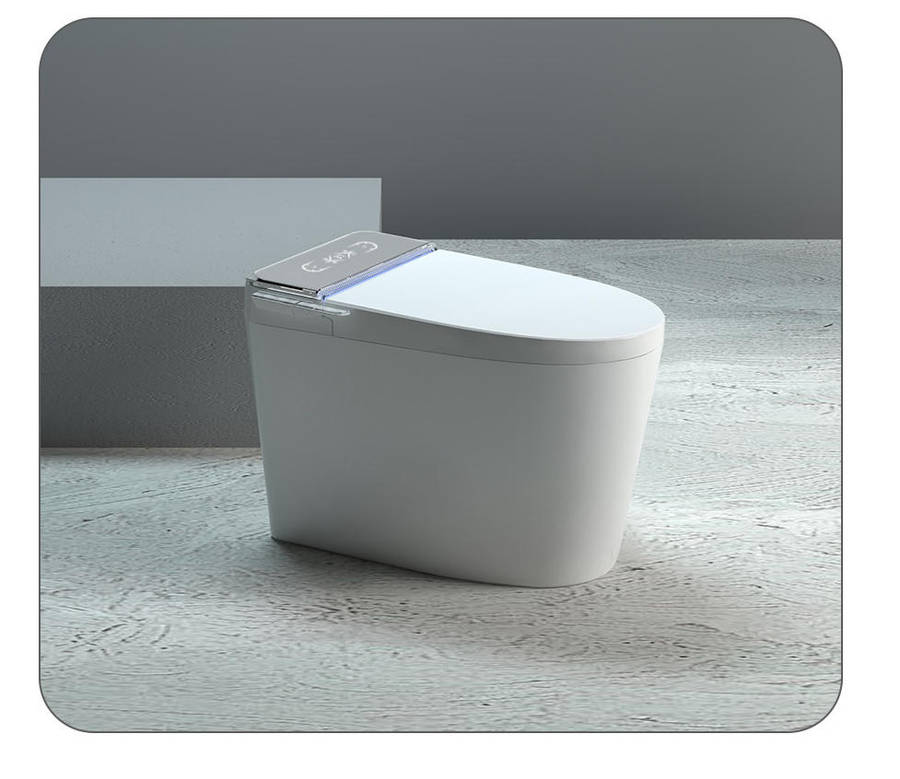 Intelligent Toilet Tankless