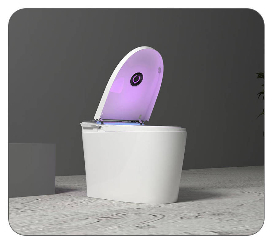 Intelligent Toilet Tankless