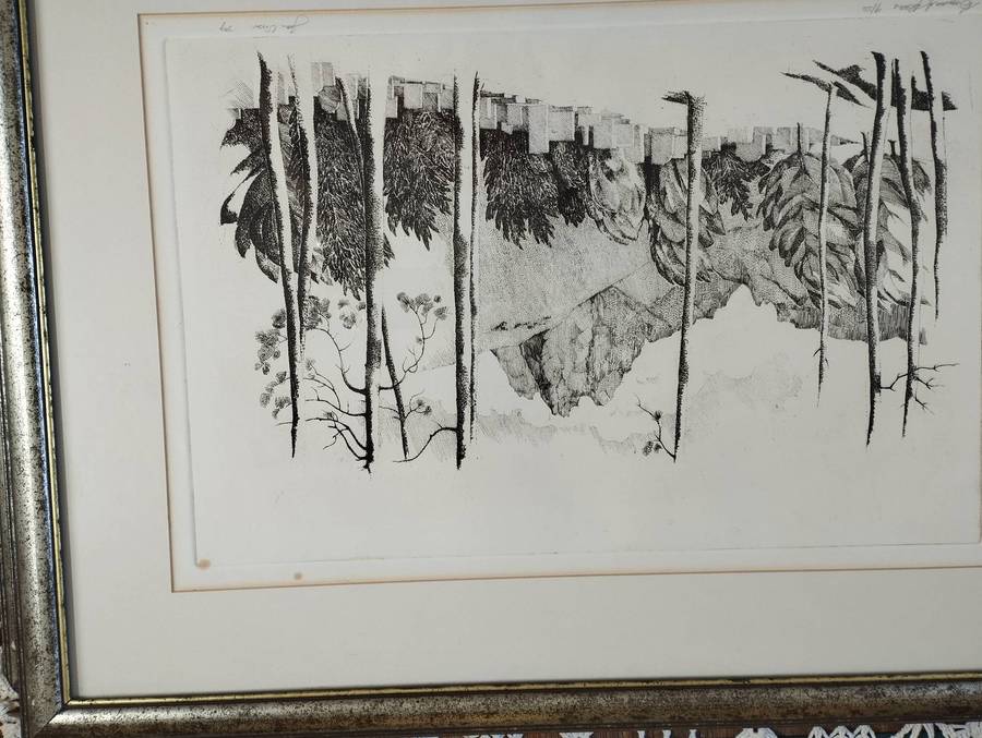 Stone Lithographs by South African artist Jan Visser