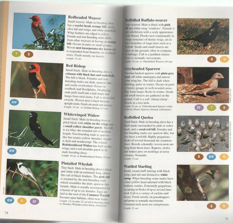 WILD ABOUT THE LOWVELD - DUNCAN BUTCHART (1 ST EDITION 1996)