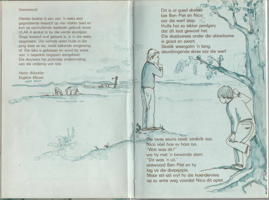 PIERINGOOG, VLAK 4 - WINCKLER EN MARAIS (1984)