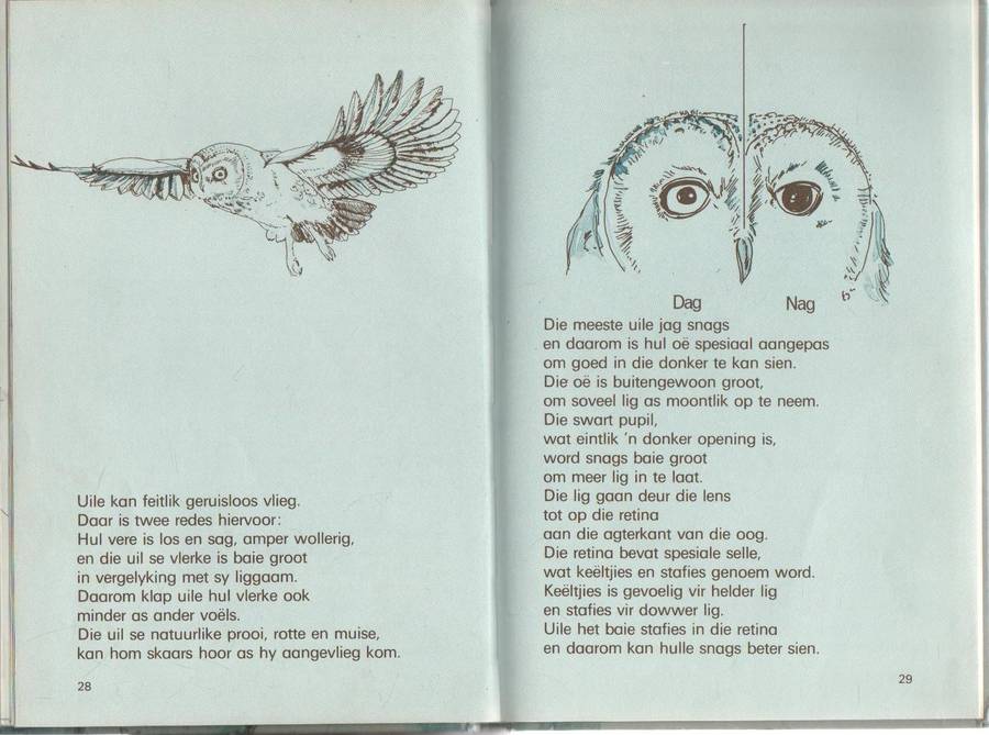 PIERINGOOG, VLAK 4 - WINCKLER EN MARAIS (1984)